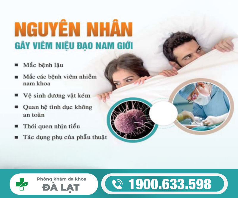 Hình ảnh minh họa